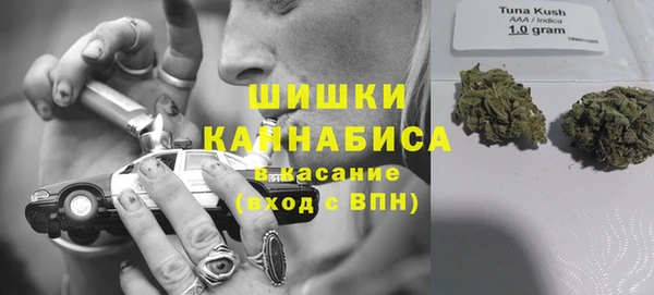 стафф Зерноград