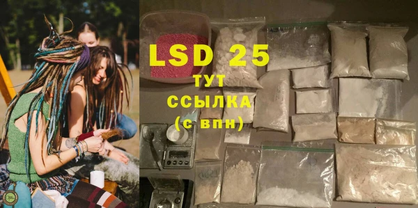 стафф Зерноград