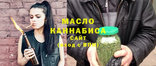 гидра Зеленодольск